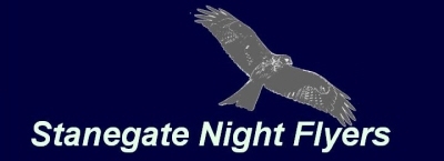 SF Night Flyers logo